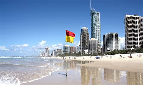 aussie house sitters gold coast.